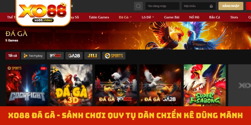 XO88 Đá Gà - Sảnh Chơi Quy Tụ Dàn Chiến Kê Dũng Mãnh